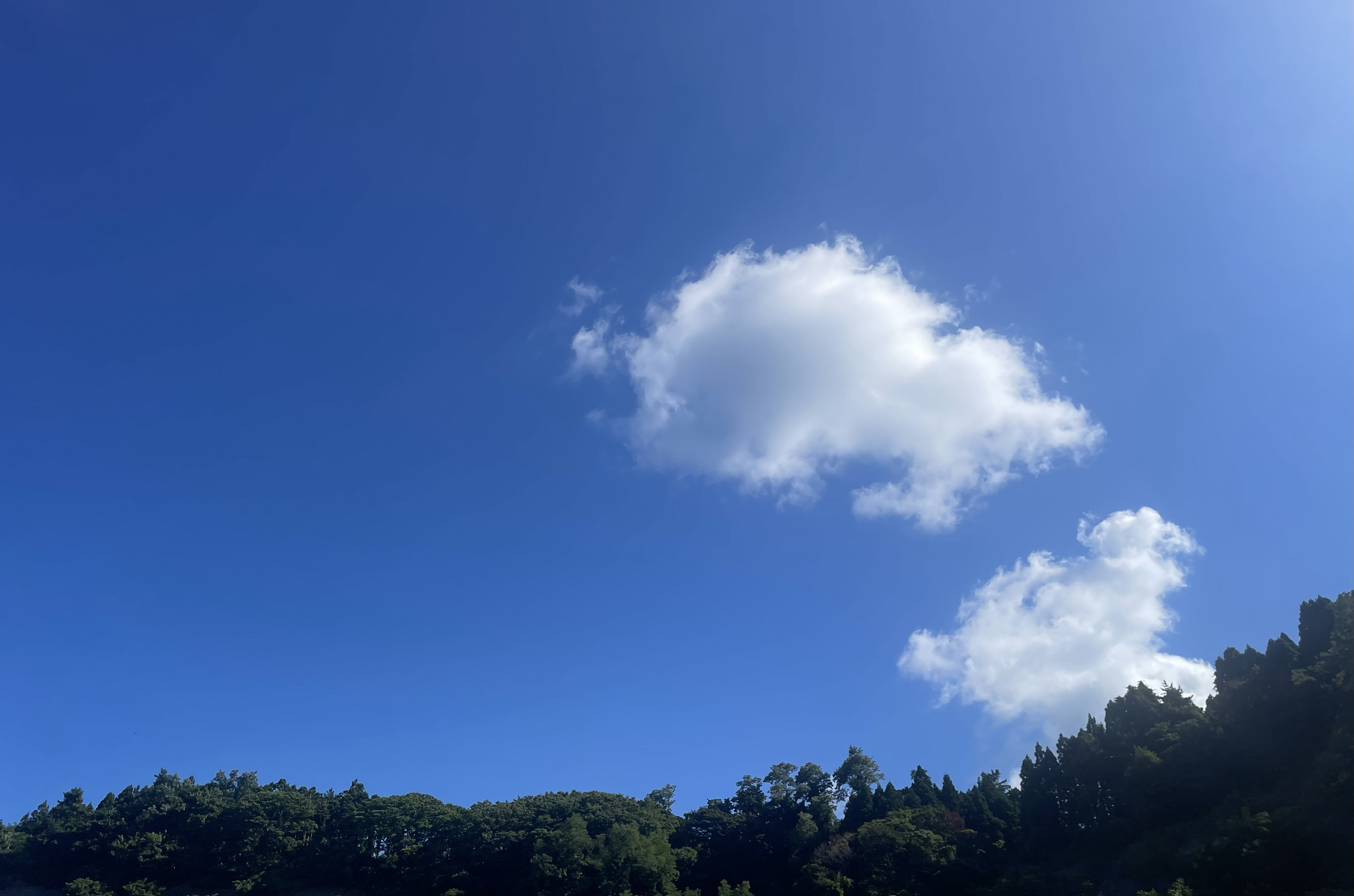 2-「一時預かり」をご利用しませんか？