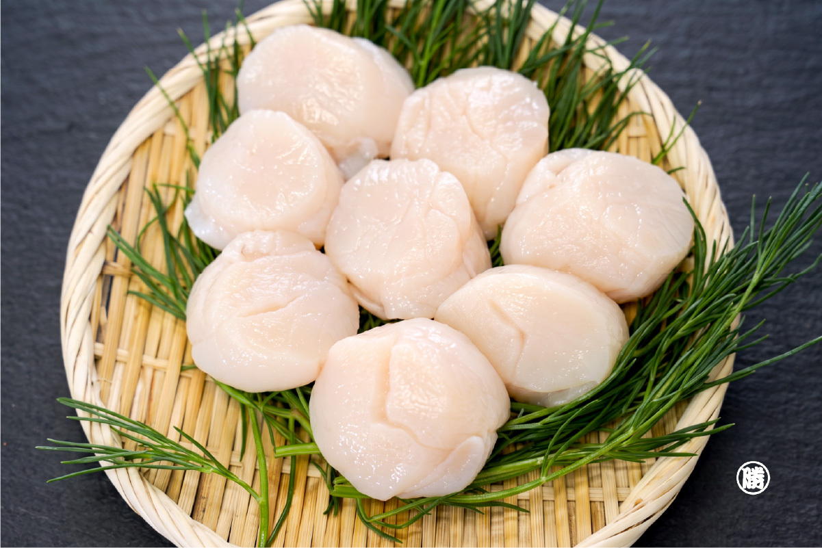 1-【新商品】「生食用 冷凍ほたて貝柱 500g」を本日より発売