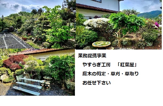 7-庭木は健康を保つ為に定期的なメンテナンス