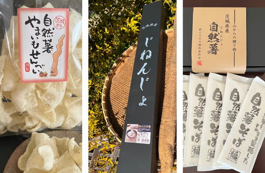 1-自然薯加工食品の開発と販売