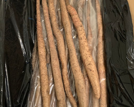 8-茨城県産自然薯 業者用 10kg～