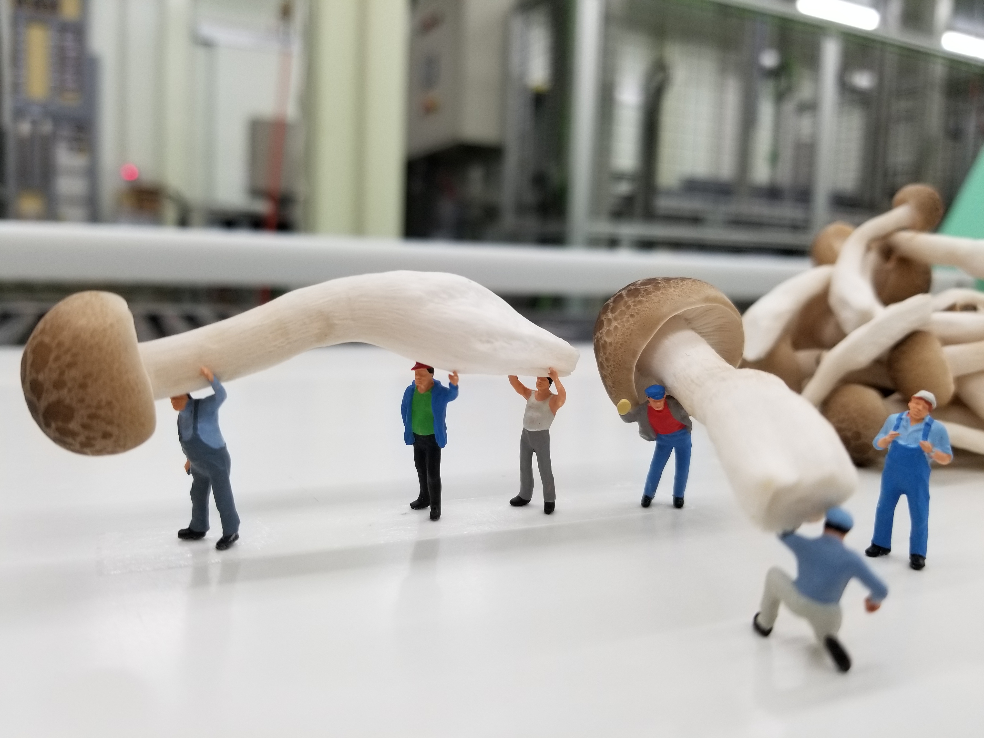 会社の建物