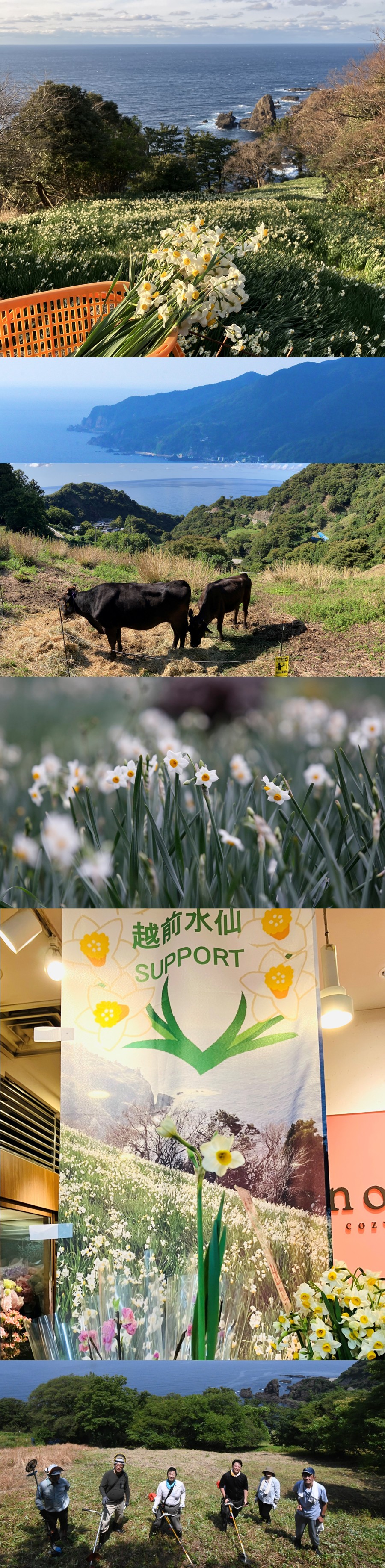 0-地域創生コンサル（企画・運営）