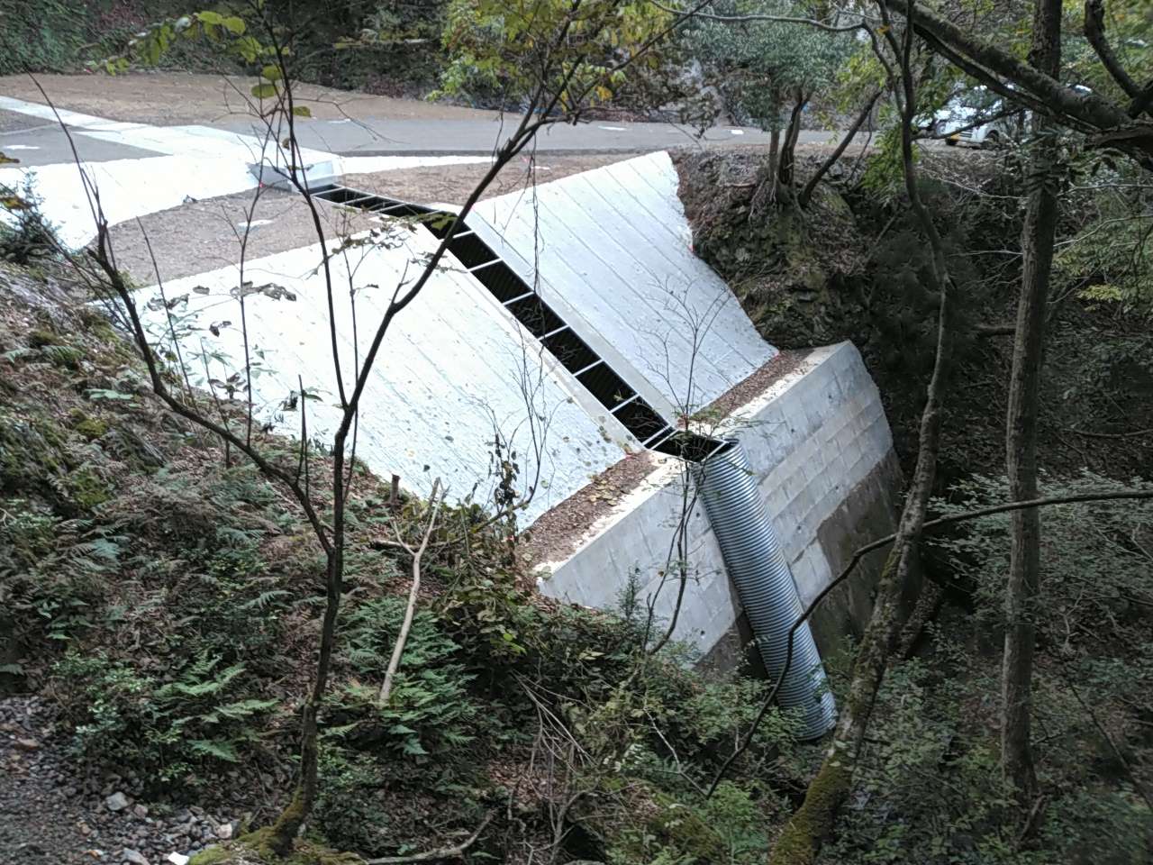 1-2025_11 過年発生林道施設災害復旧工事(槙谷線)
