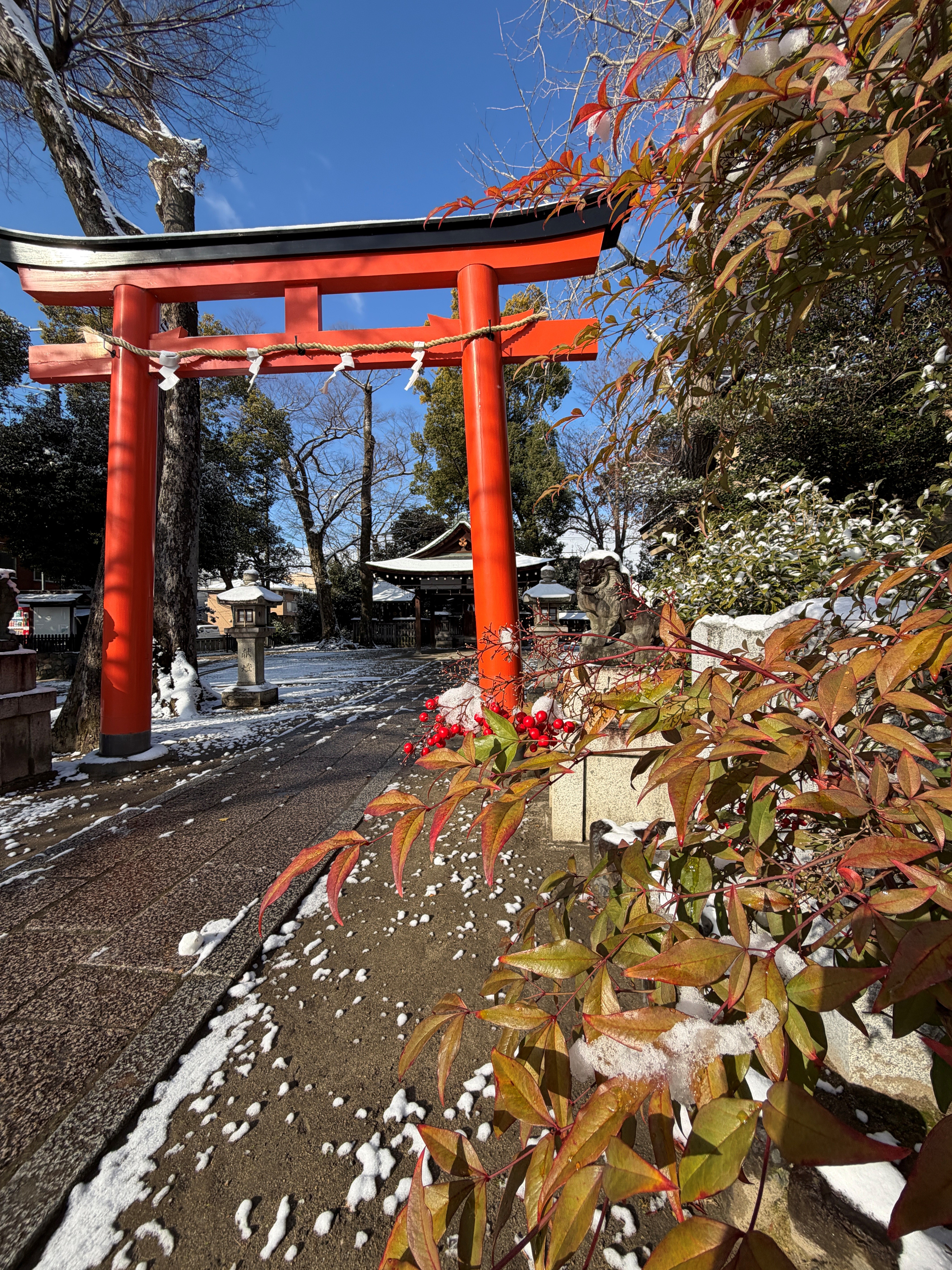 0-お向かいの三ノ宮社の雪景色