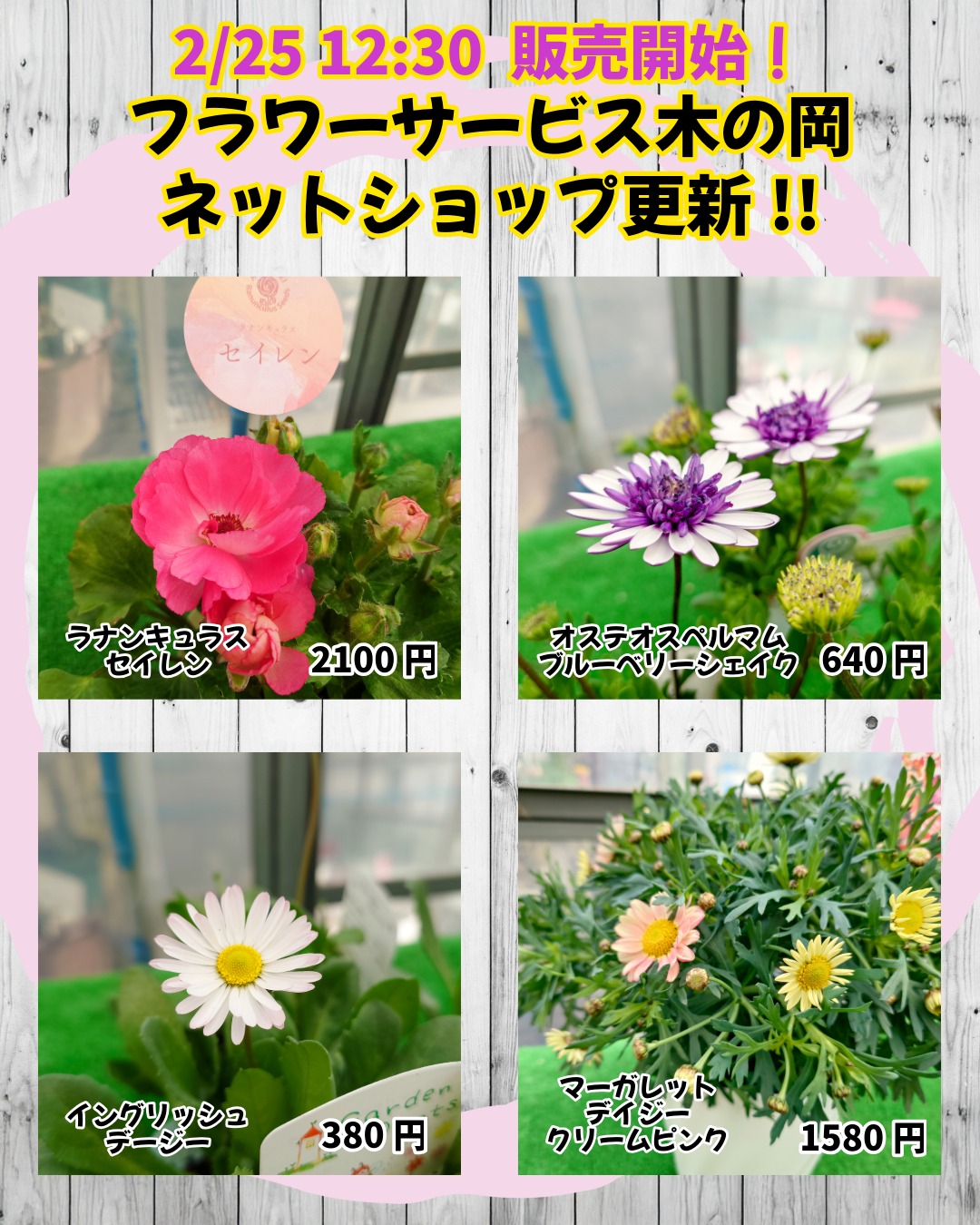 11-ネットショップ更新のお知らせ