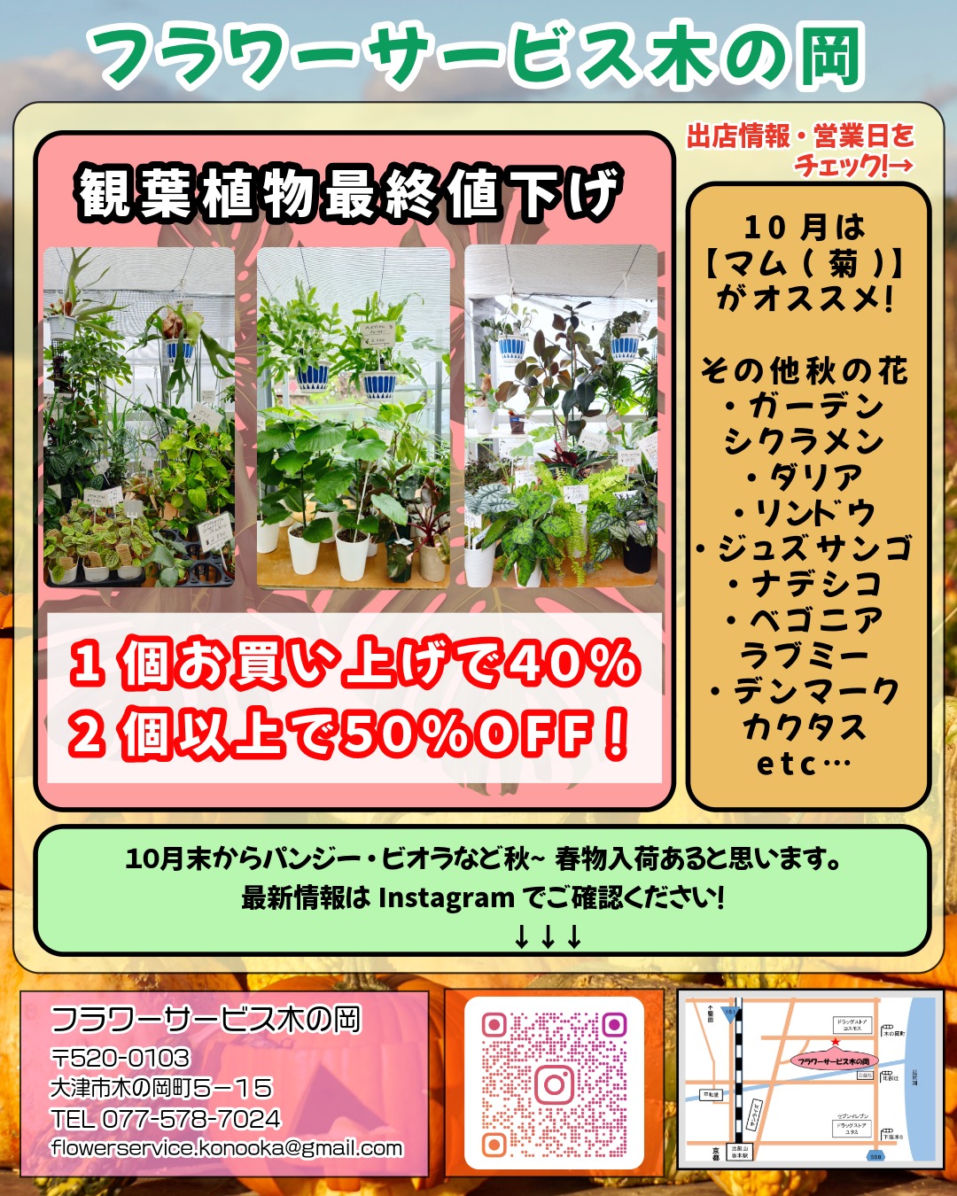 0-観葉植物最終処分開催！