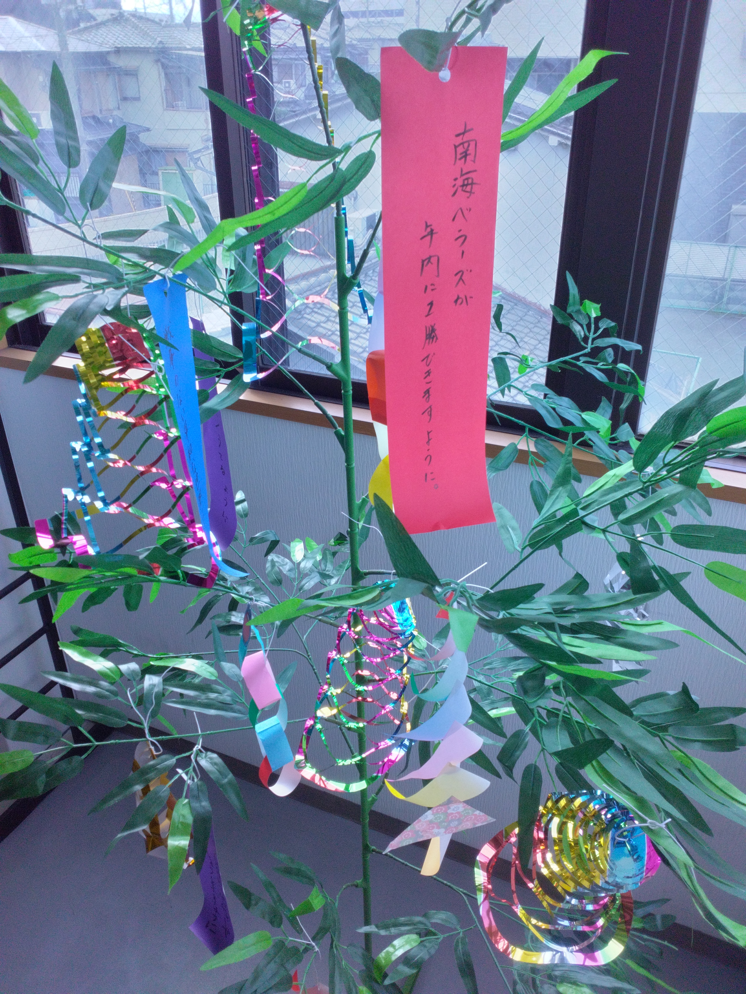 4-七夕🎋