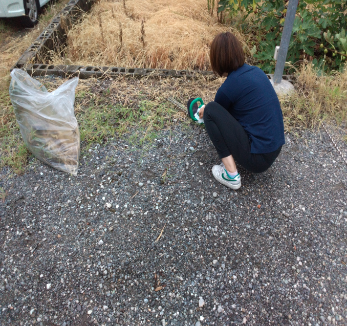 八田工場清掃活動（第8回目）