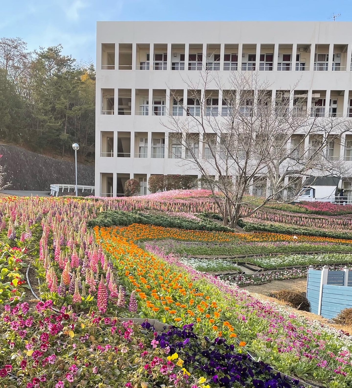 2-緑地管理/花壇管理