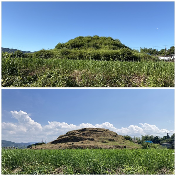古墳草刈り作業