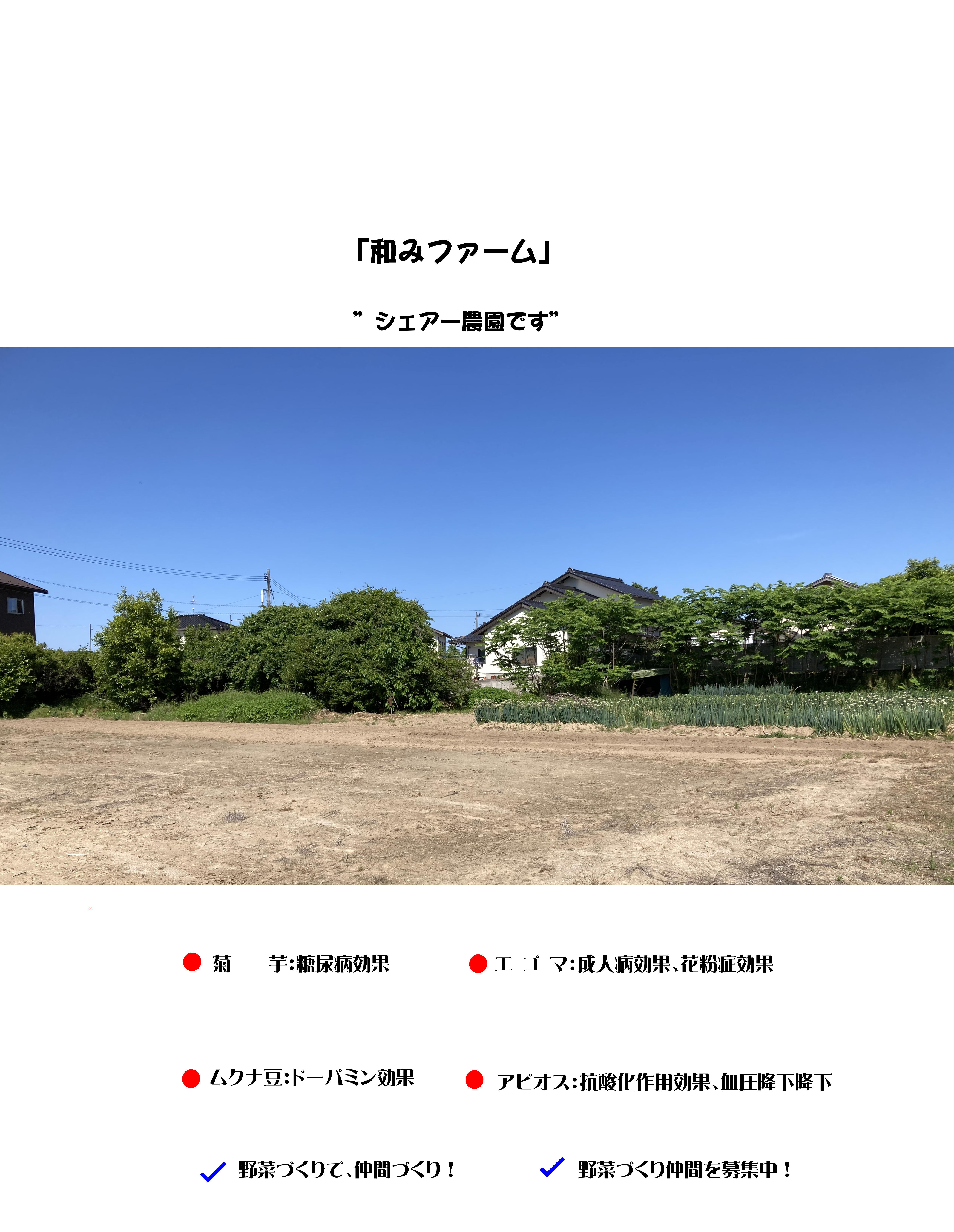 4-和みファームは健康野菜他の地産地消に努めています