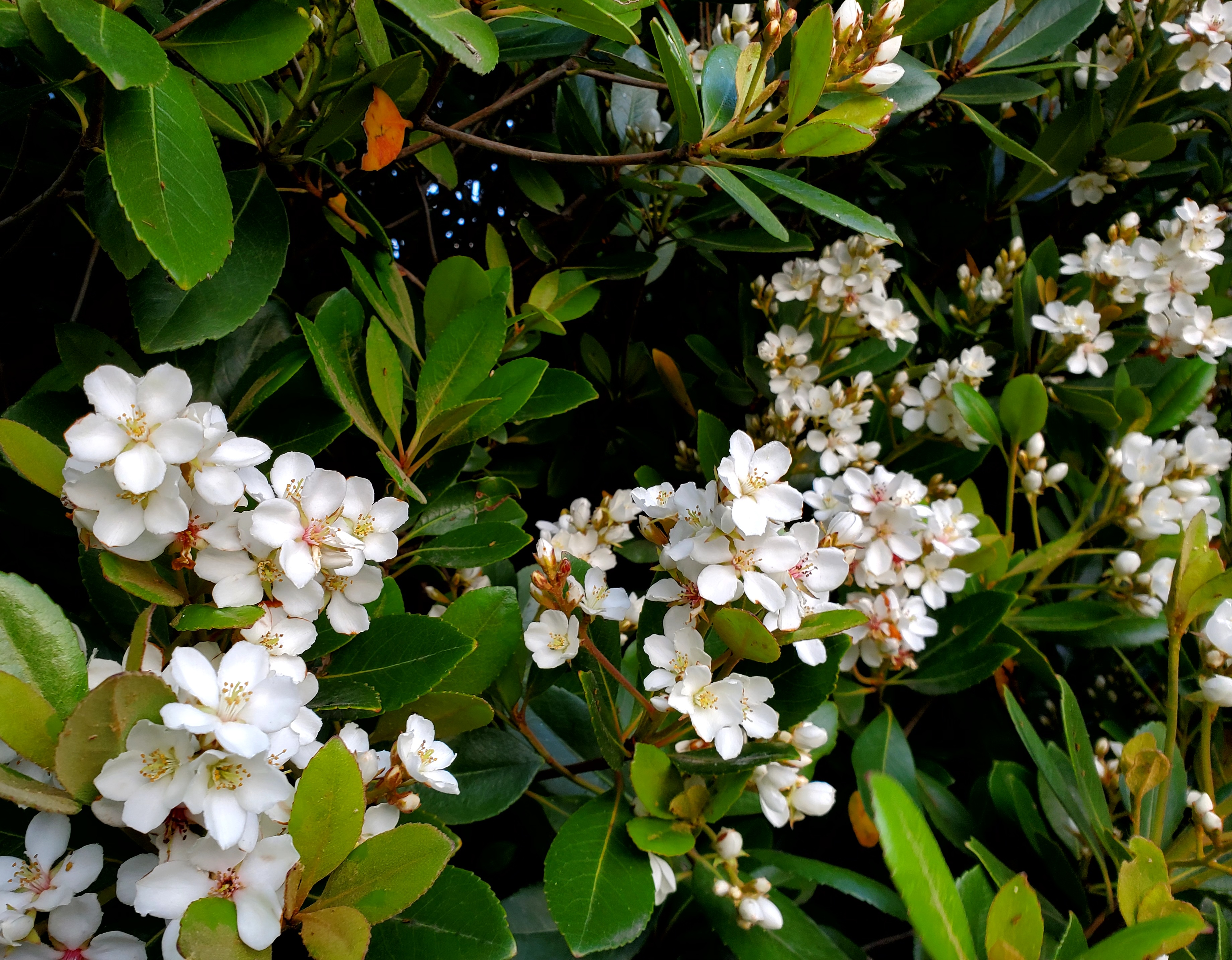 5月