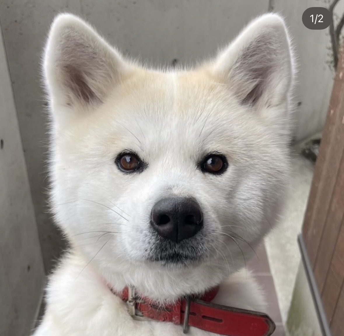 0-Instagram始めました！