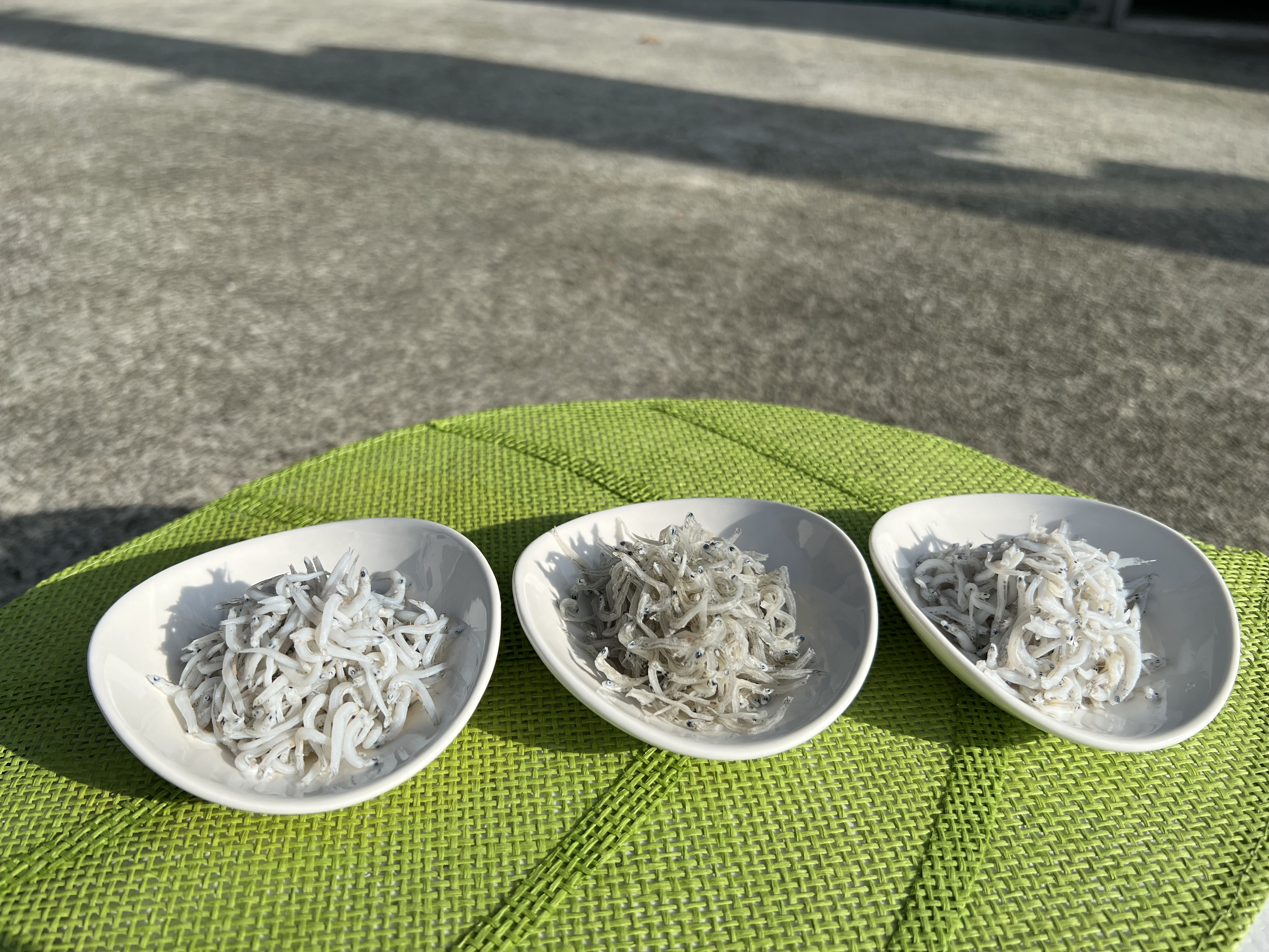 3-釜揚げちりめん