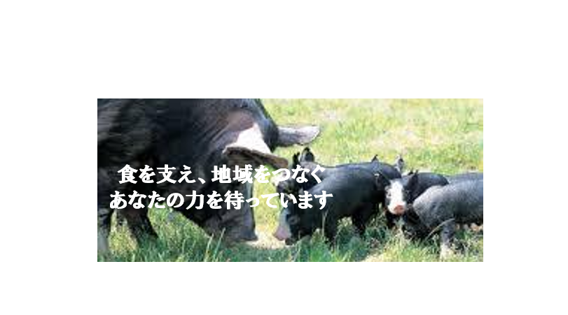 採用応募の流れ