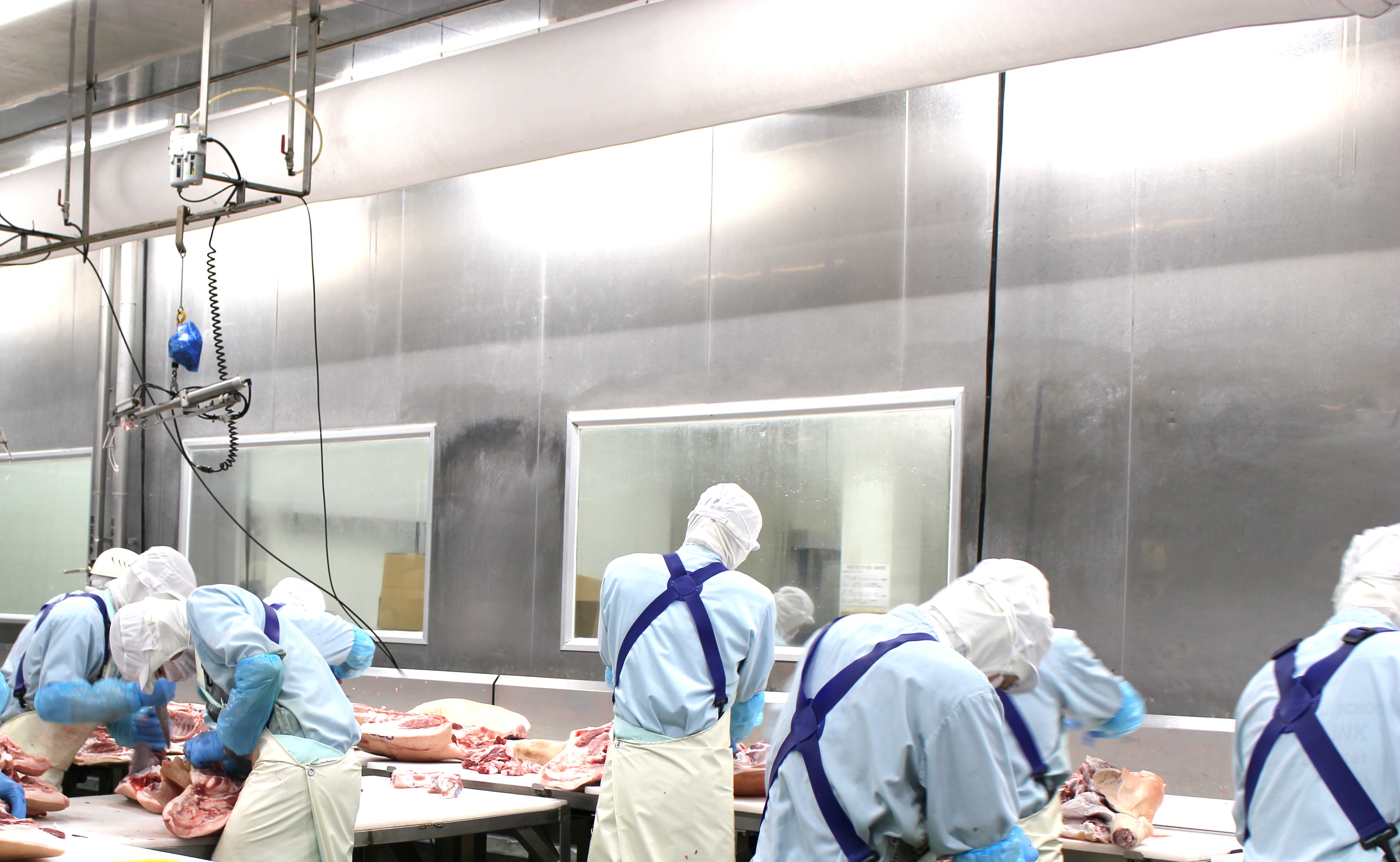 4-食肉処理場　現場作業者