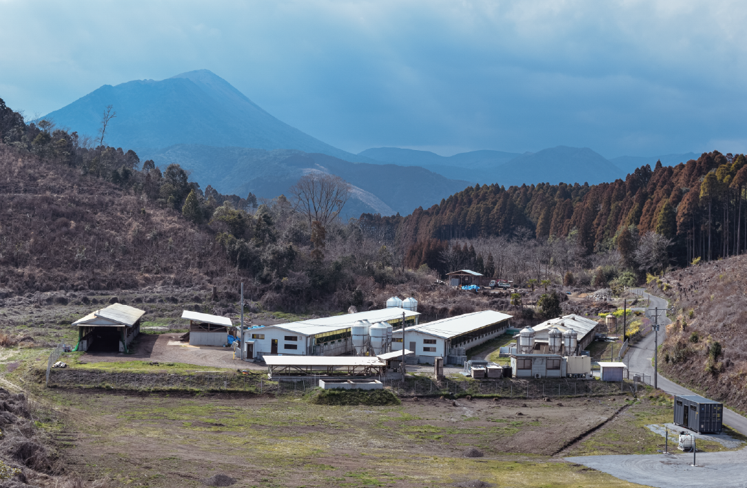 会社の建物