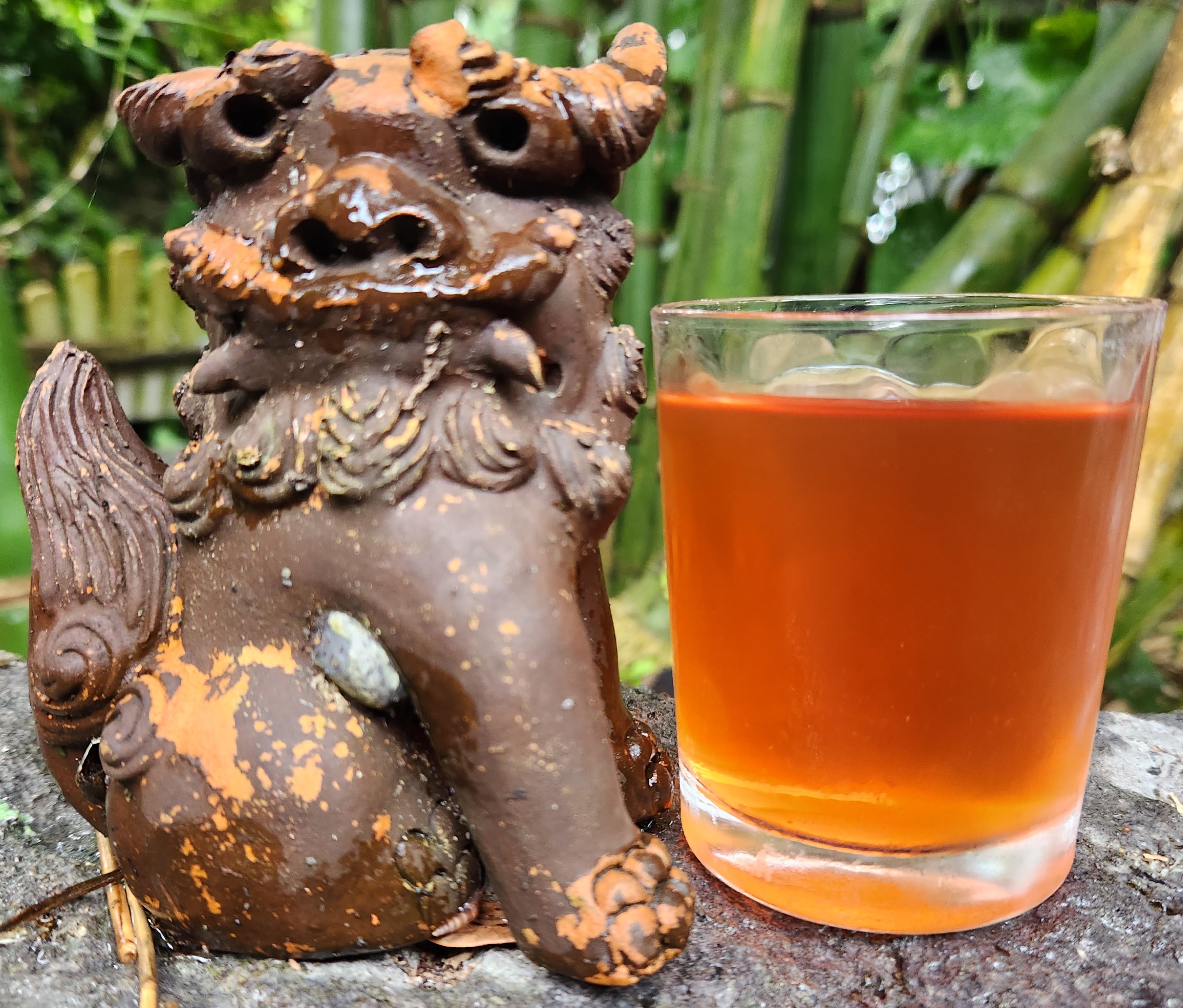 2-琉球オオイタビ茶