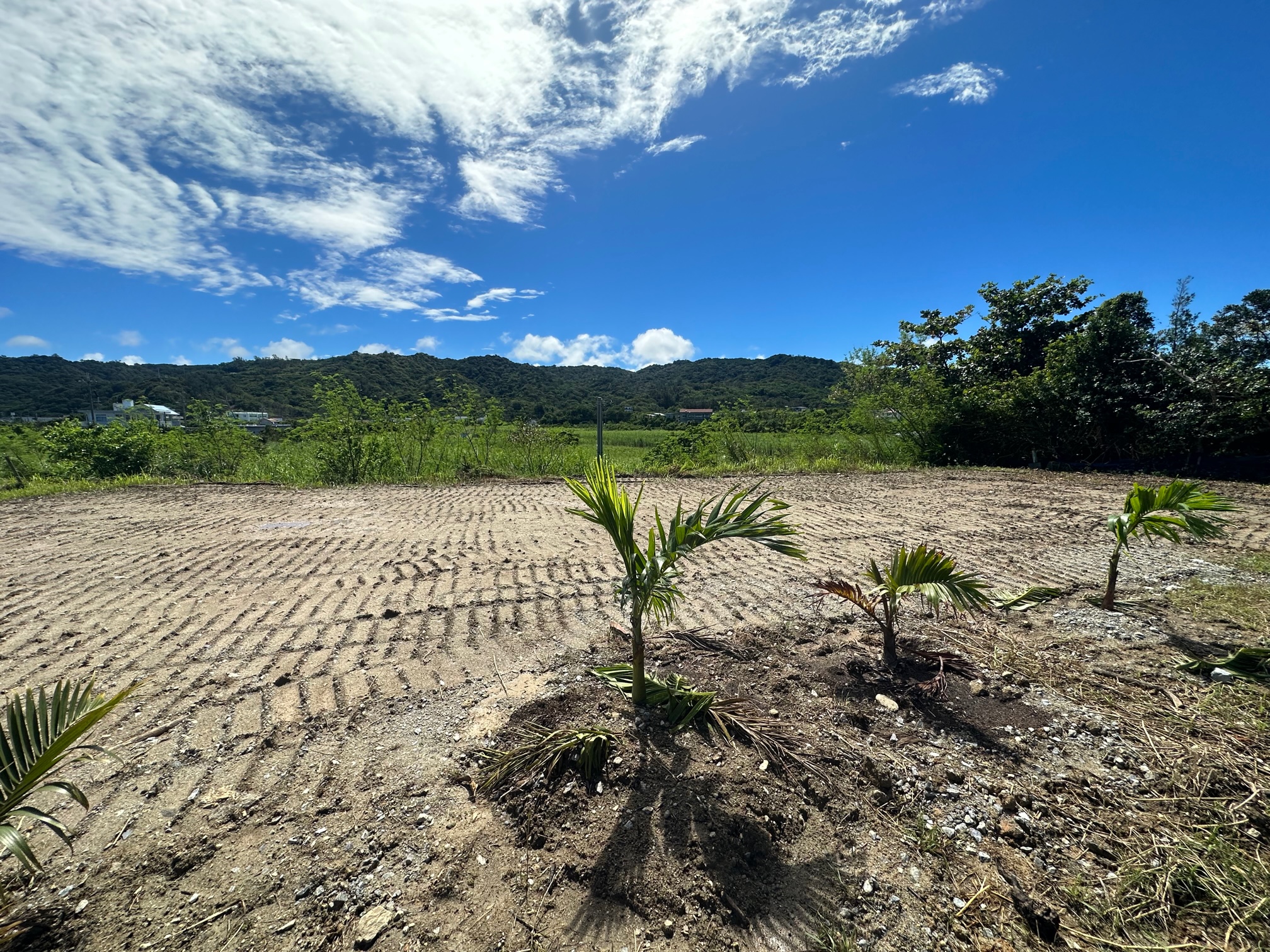 1-国頭村辺土名、売土地物件、不動産売買契約。
