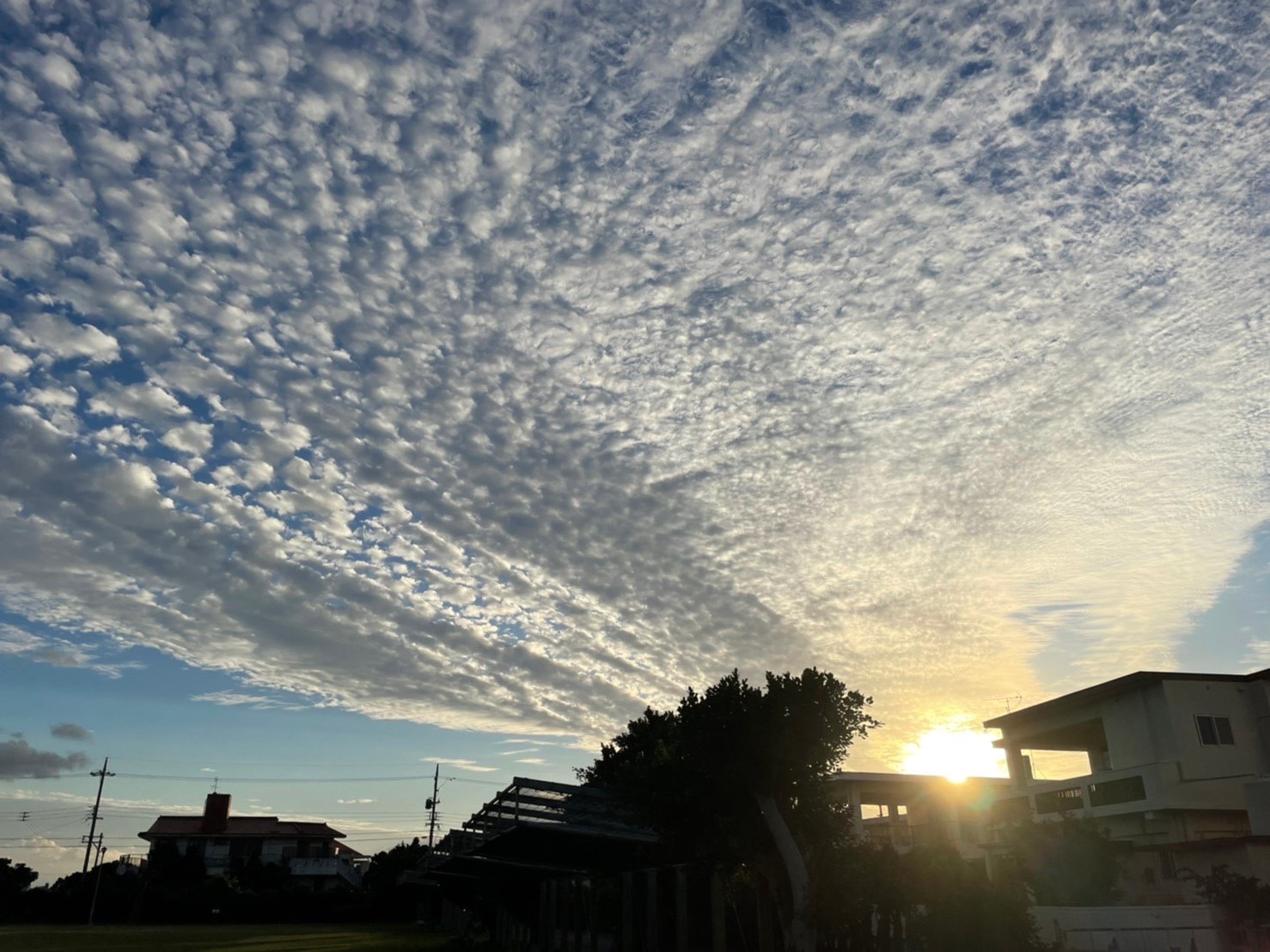 4-外活動について