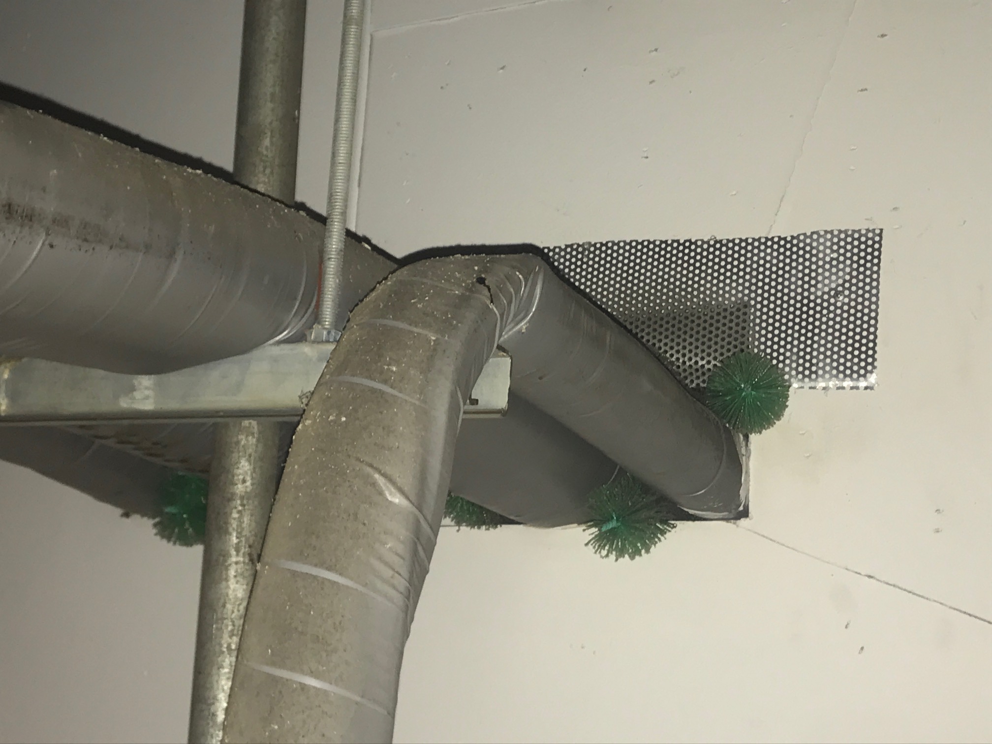 4-ネズミ防除管理業務