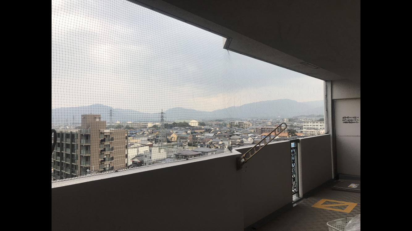 6-防ハト対策業務