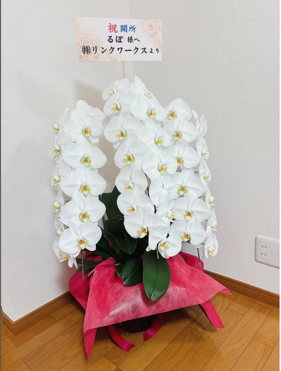 0-るぽの開所にあたり、心温まるお祝いのお花を頂戴いたしました🌸