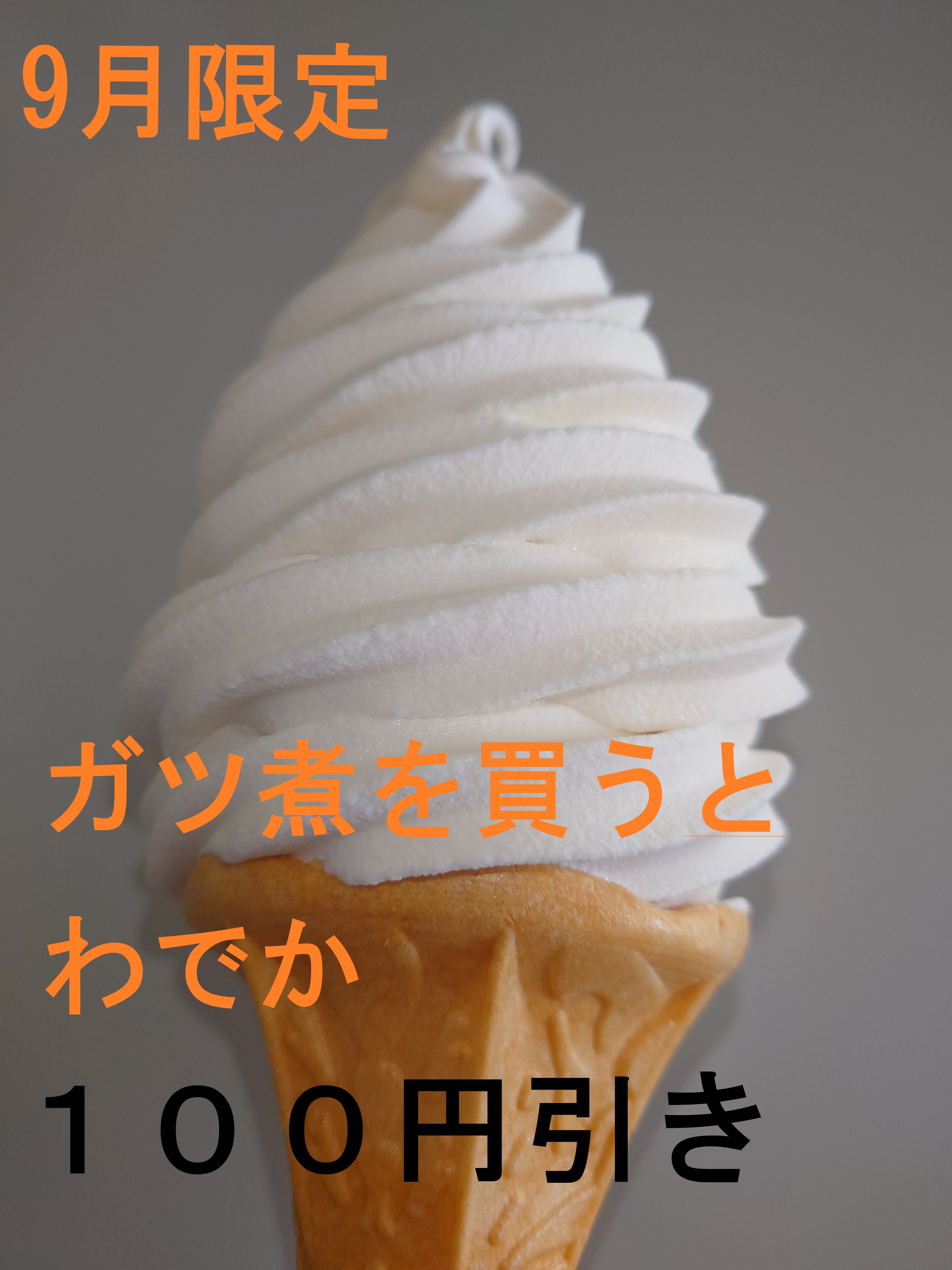 3-ガツ煮を買うと１００円引き