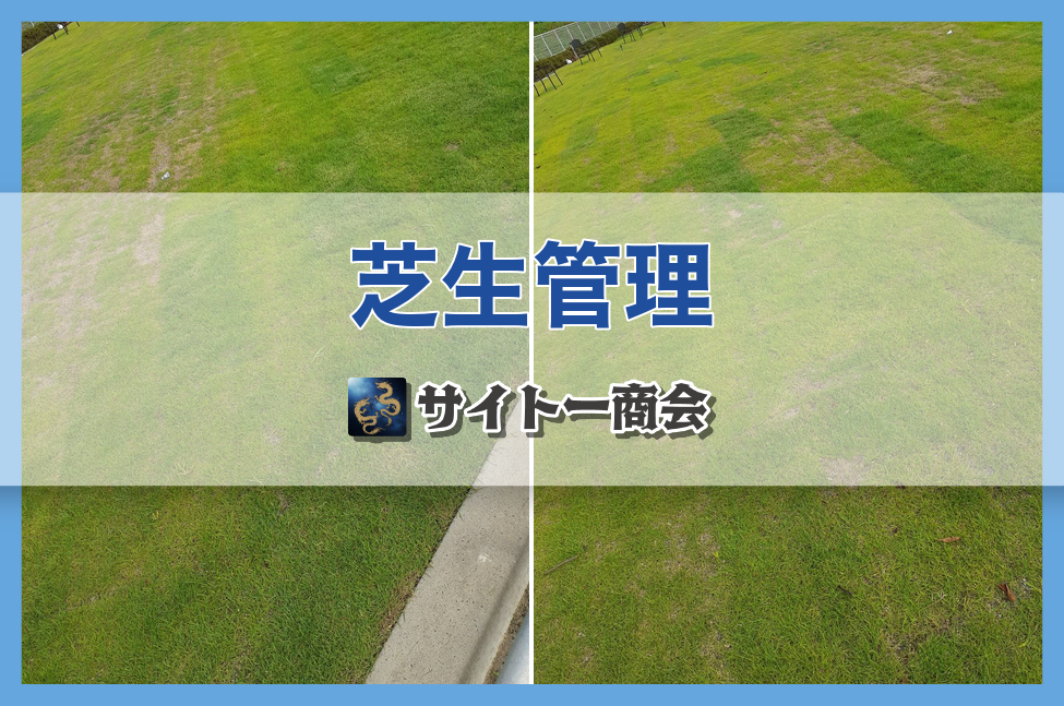 9-芝生の傷みを青々とよみがえらせました！🌱