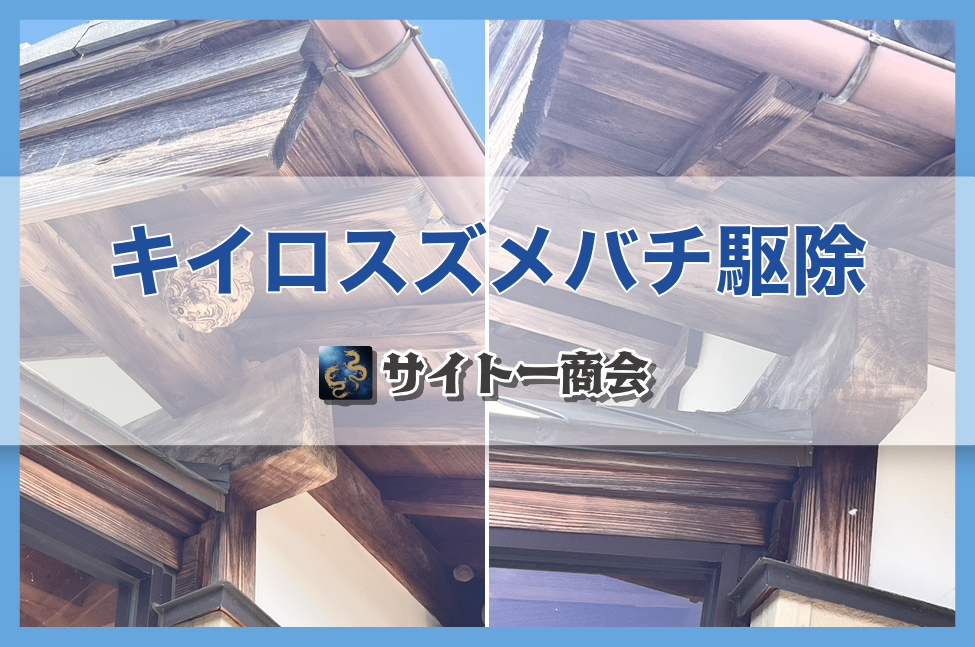 2-軒下のハチの巣、まるごと撤去しました！🐝