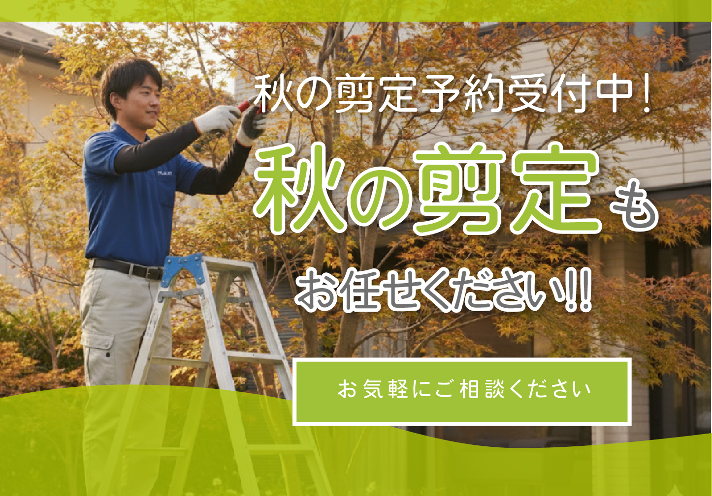 9-🌲 秋の剪定予約受付中！