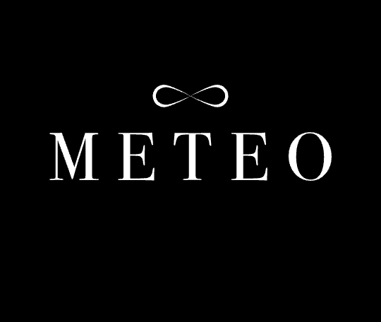 1-METEOについて
