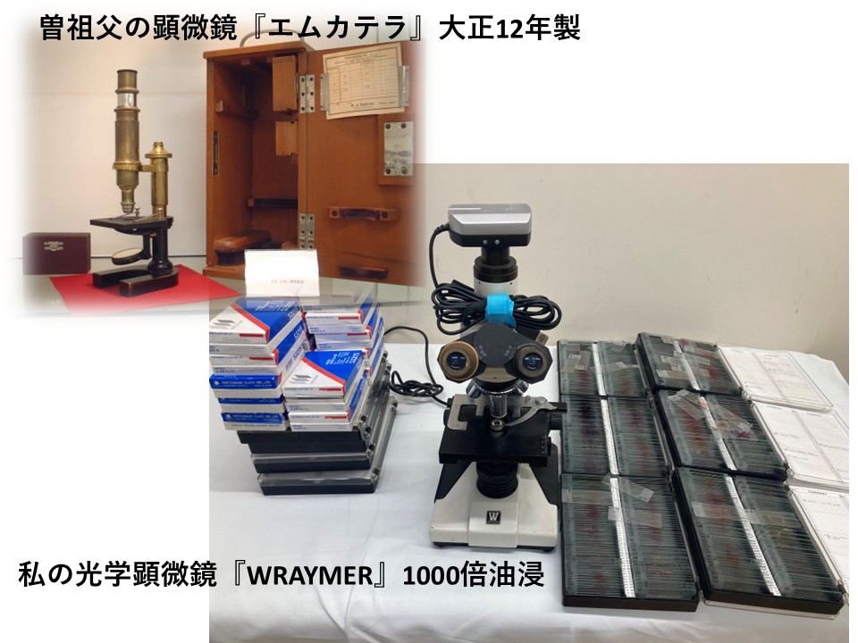 0-顕微鏡検査について～脈々と受け継がれた診療～