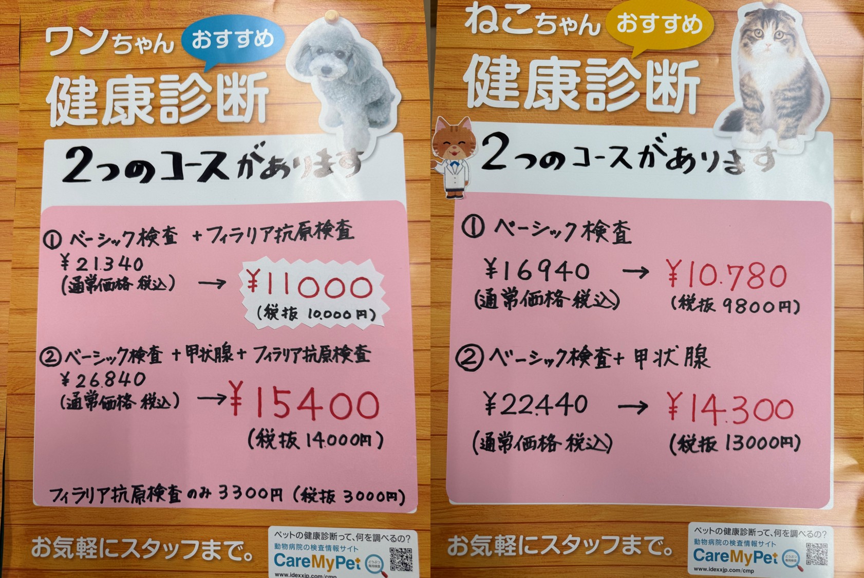 0-春の健康診断キャンペーン