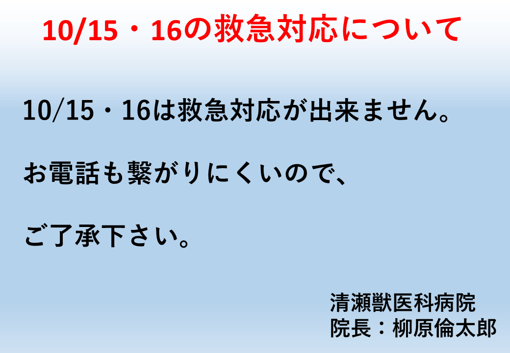 10月15・16日の休日・夜間救急対応について