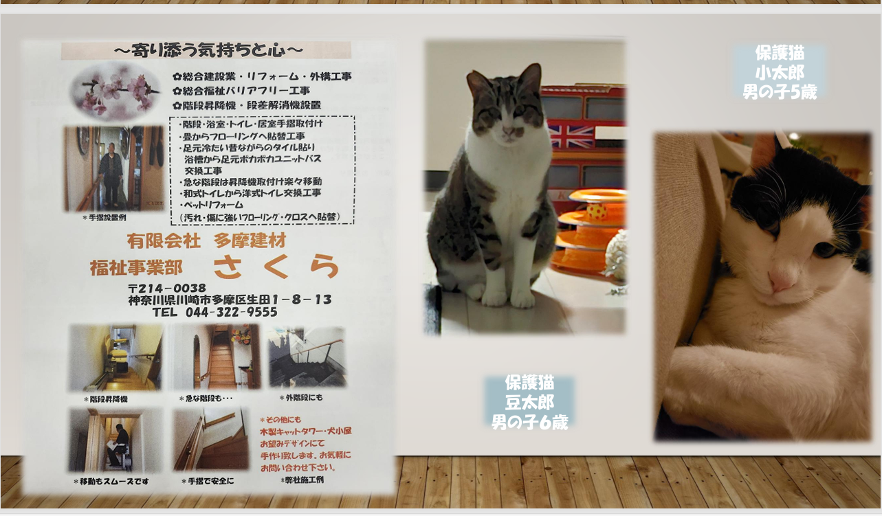 二宮正明の写真