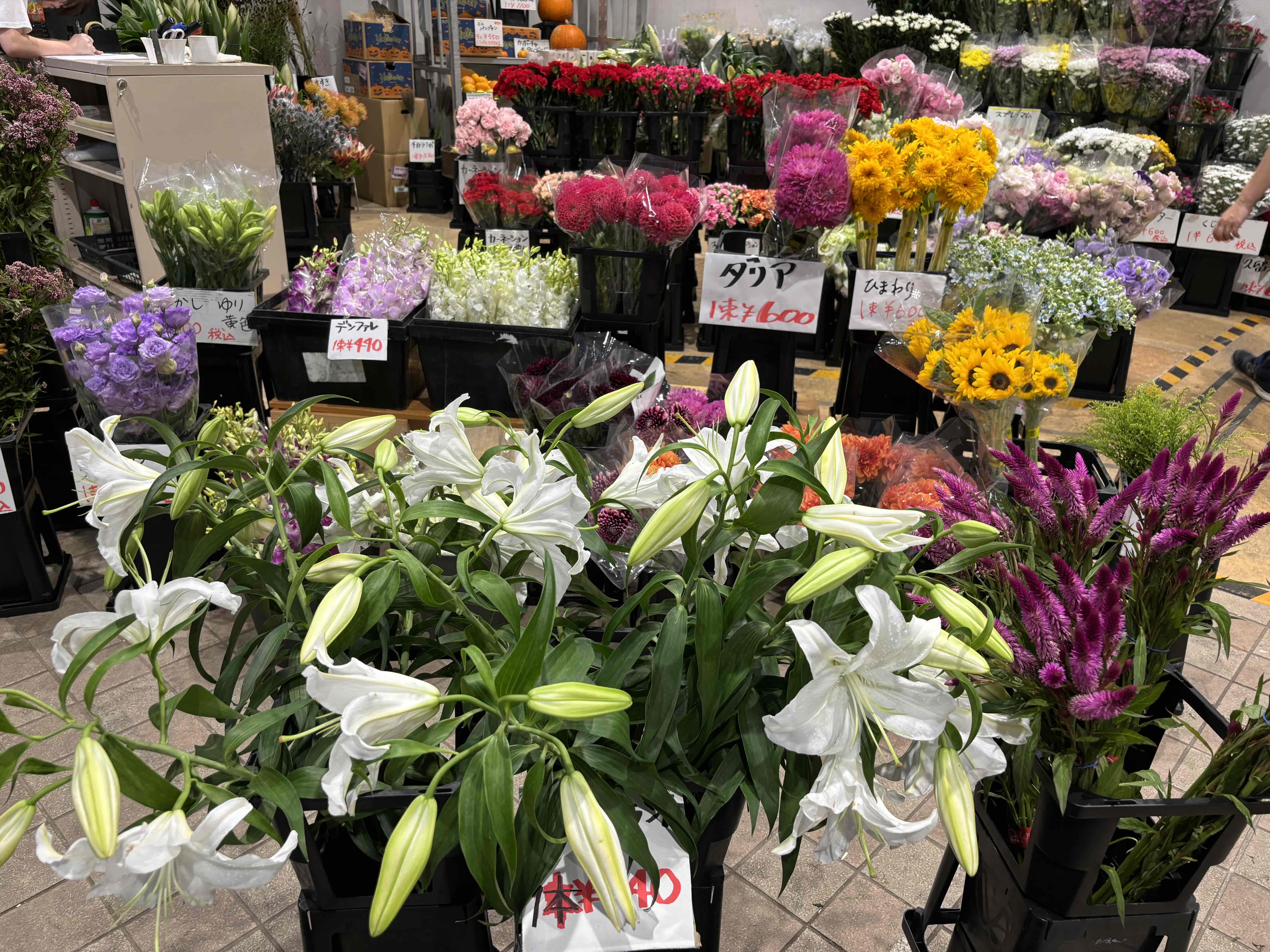 2-◆横浜別所店◆