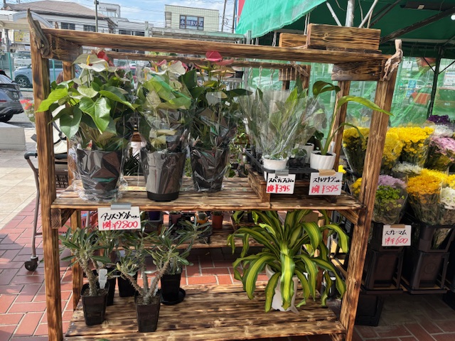サムネイル画像 2