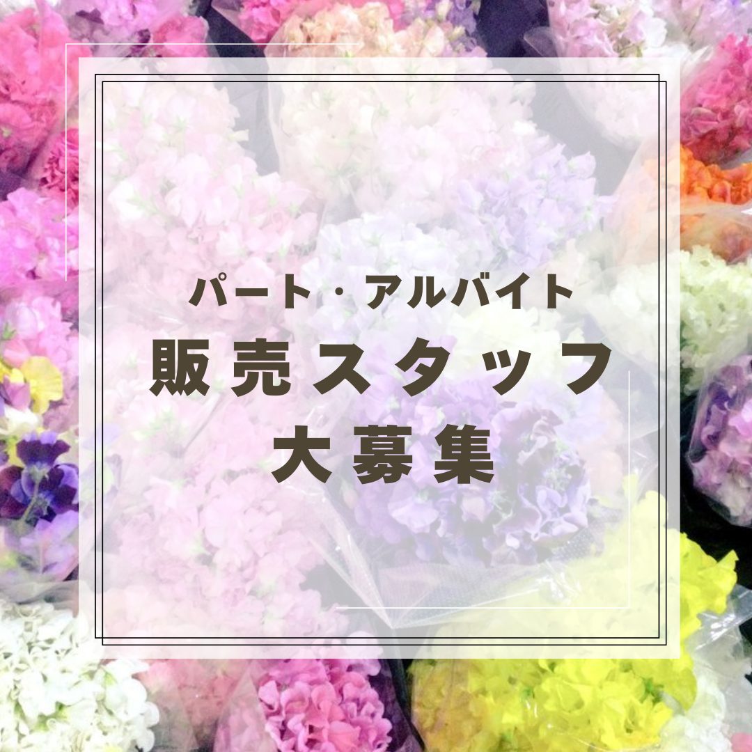 0-お花が好きな人、大募集