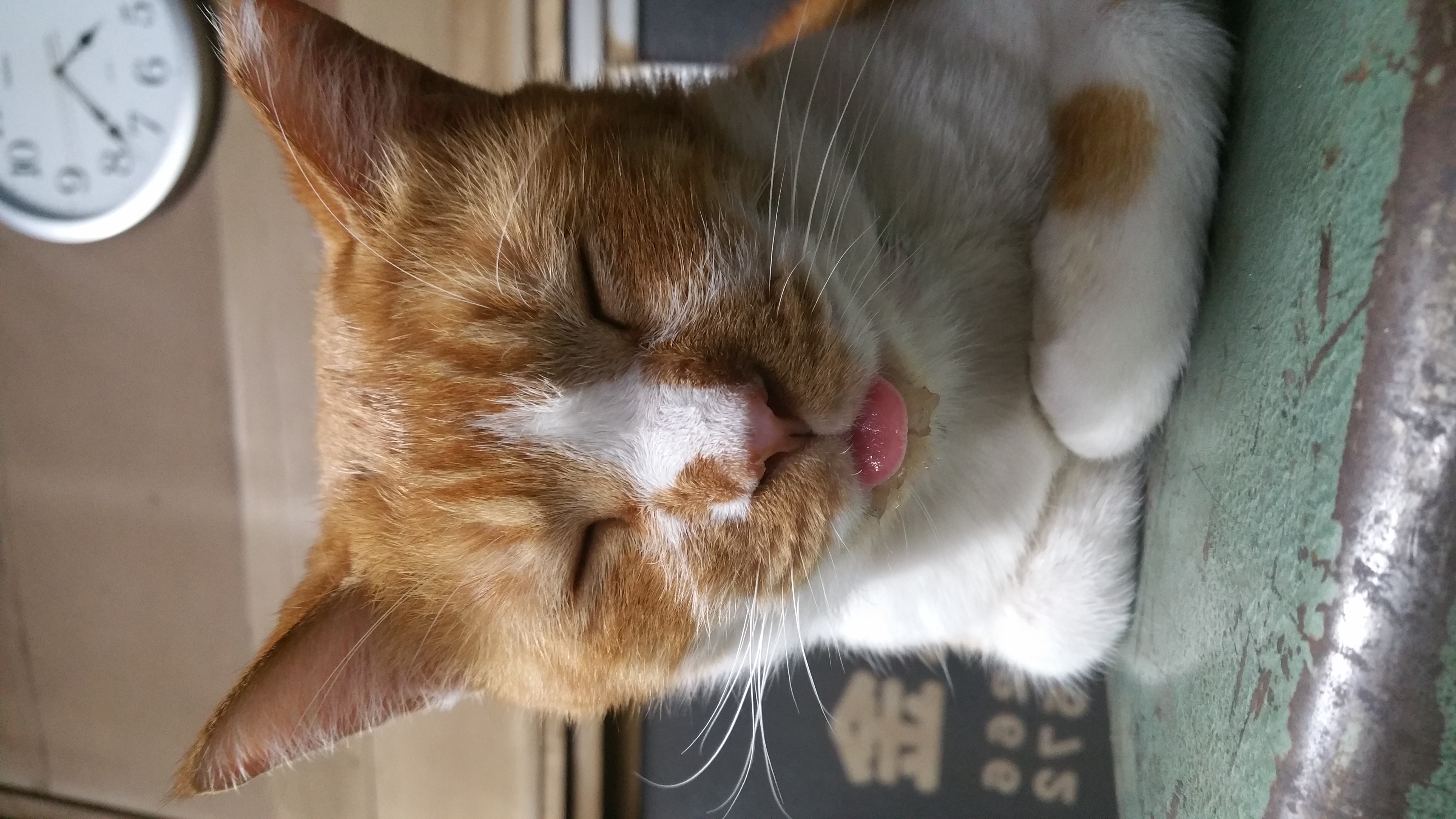 児玉 博昭の写真
