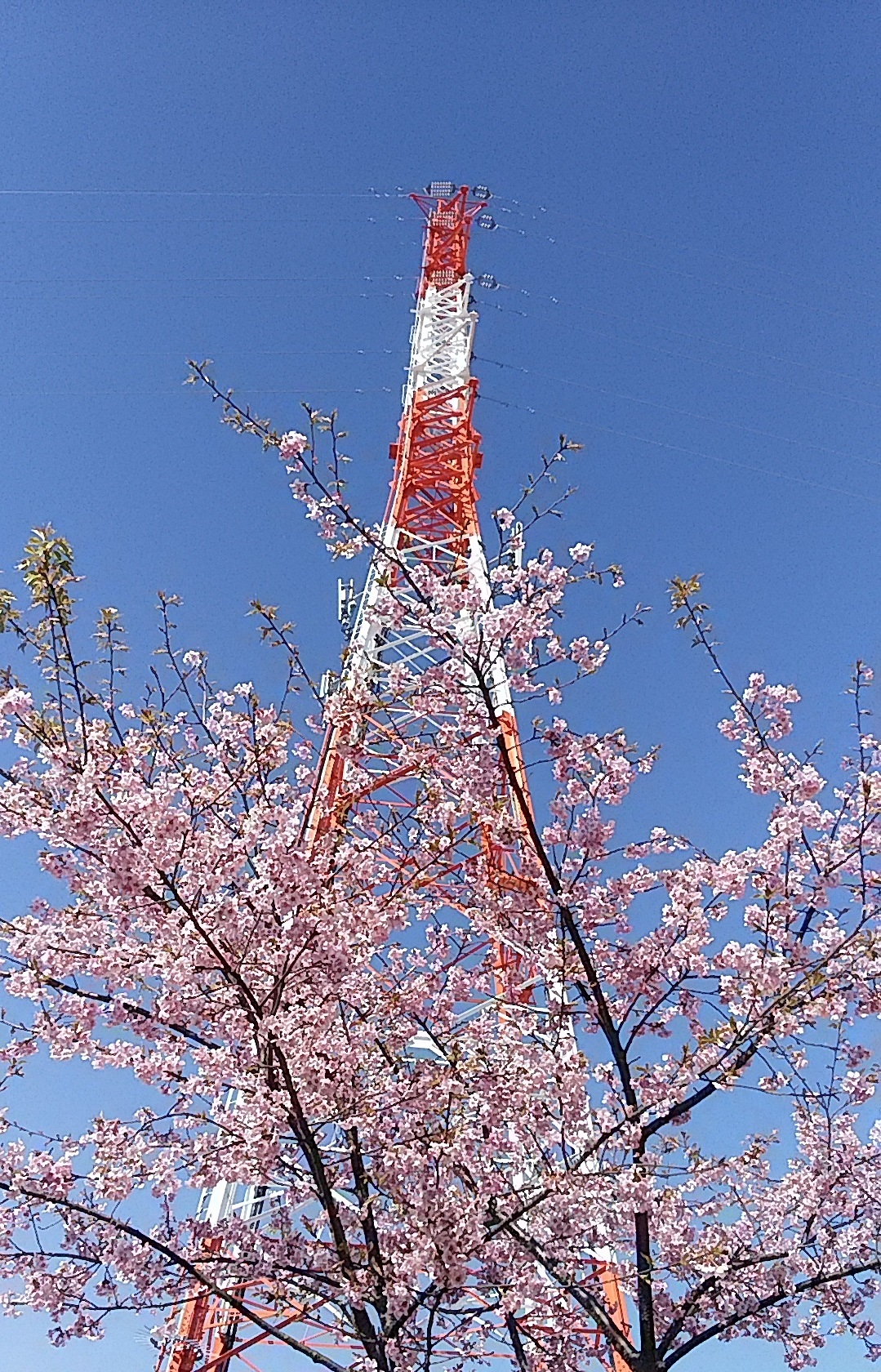 0-一般塗装工事・鉄塔・足場