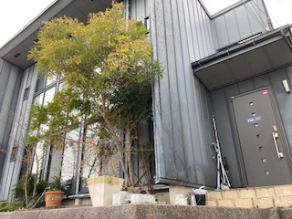会社の建物