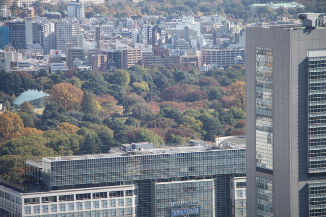 年賀状送付廃止のお知らせ
