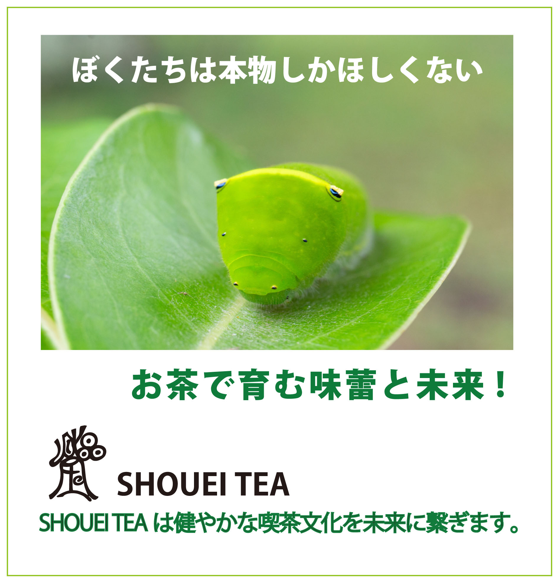 過去のプレスリリースまとめ