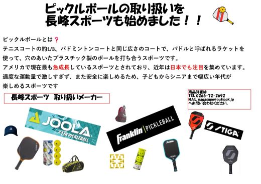 6-ピックルボールの取り扱いを始めました！！