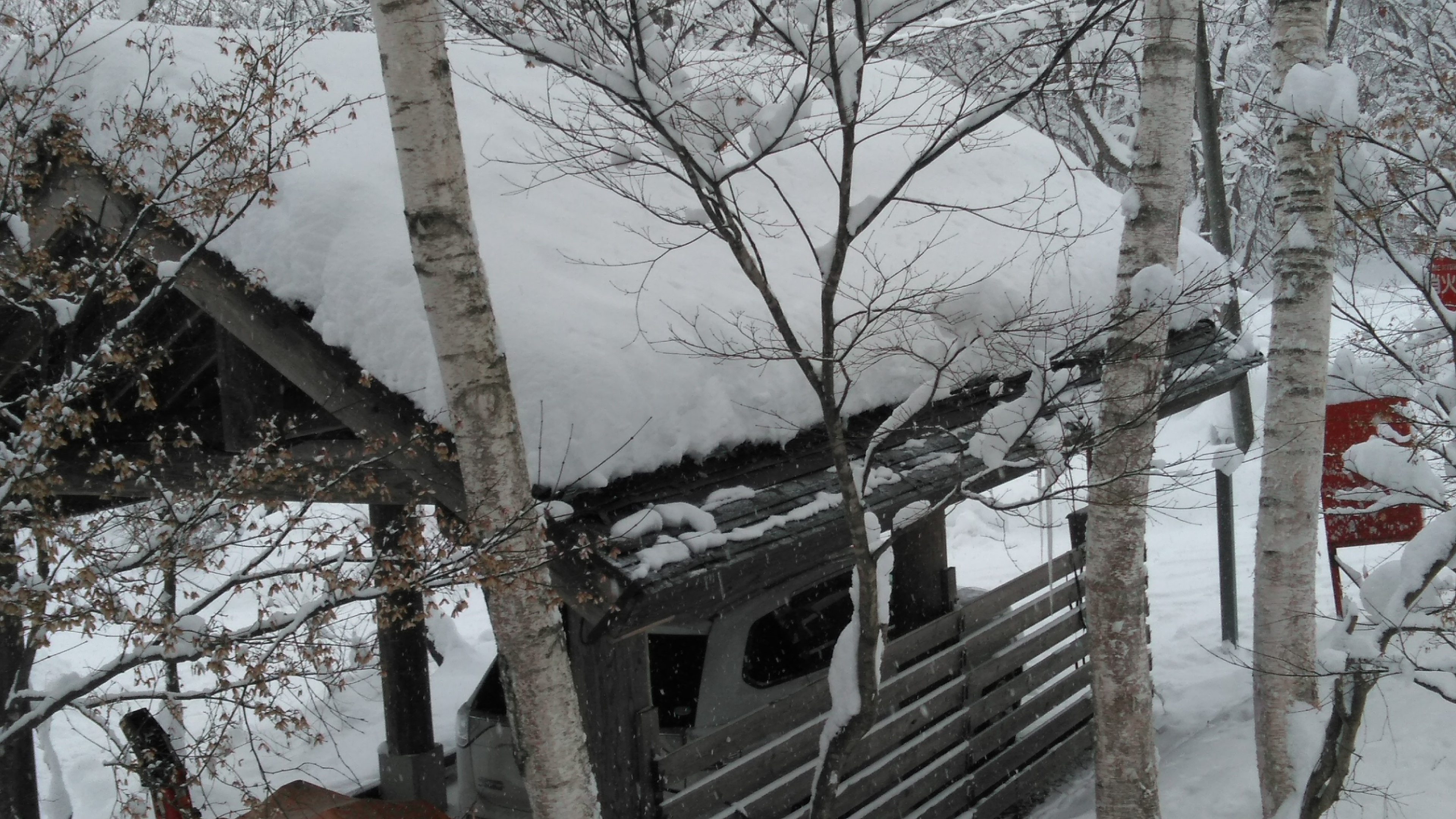 パワフルに融雪しています。