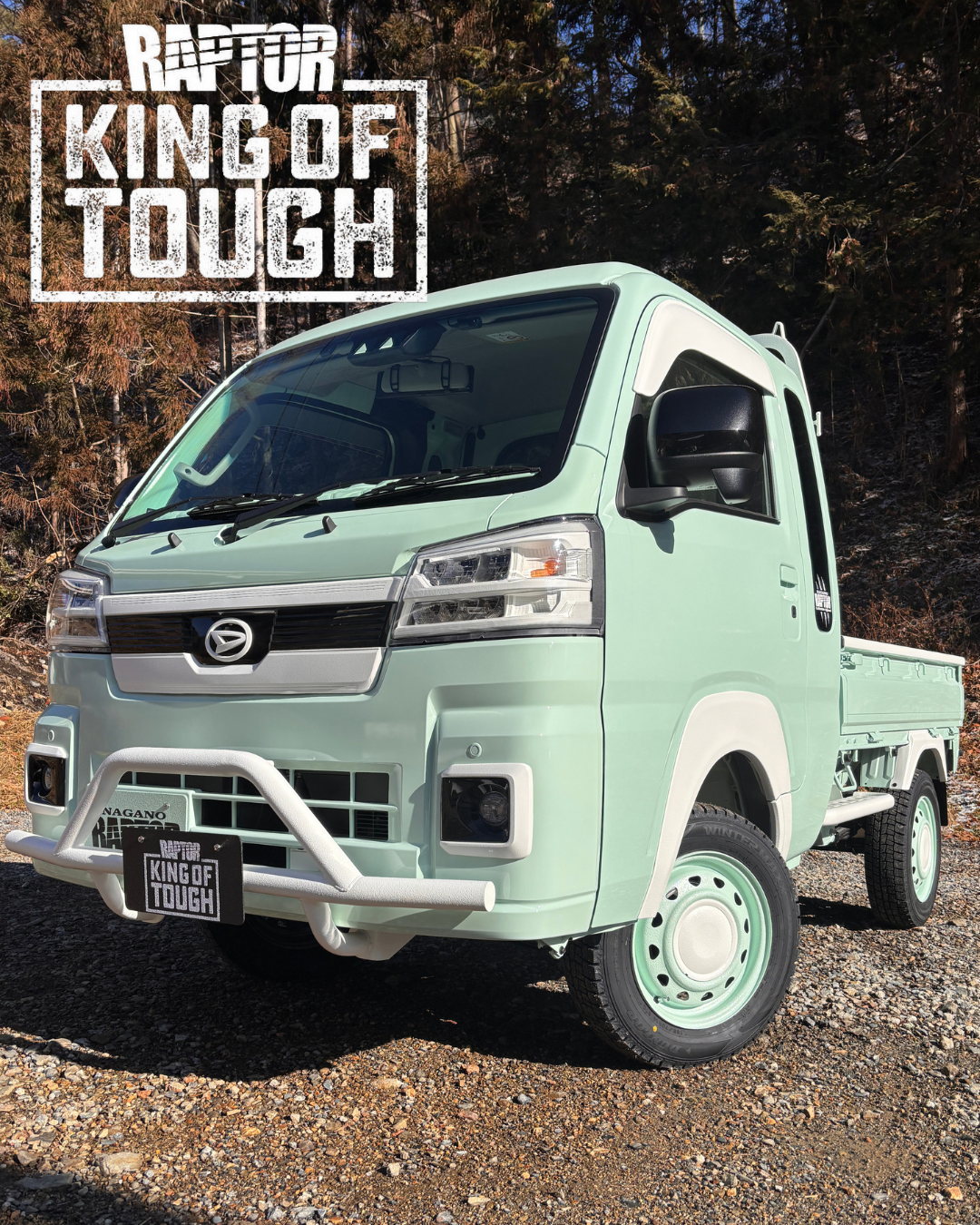 RAPTORLINER・ﾗﾌﾟﾀｰﾗｲﾅｰ・ﾗﾌﾟﾀｰ塗装・ｶｰﾘﾒｲｸﾌｼﾞﾓﾘ Car Remake FUJIMORI