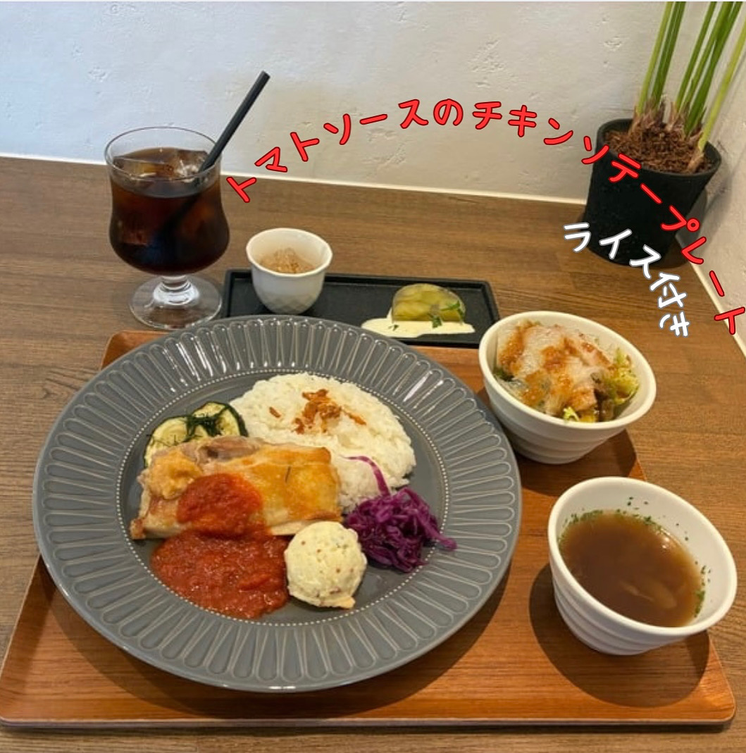 NEW LUNCH🍴
