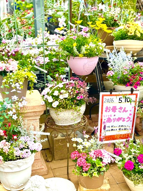 2-🌸母の日🌸ご予約受付中です✨